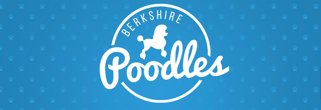 OneEighty logo for Berkshire Poodles