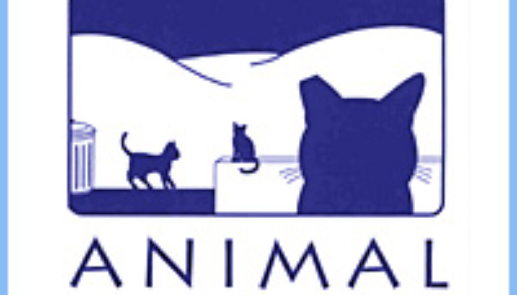 ATTENTION: POSTPONED DUE TO SNOW: Animal DREAMS Open House – Come Celebrate Saturday